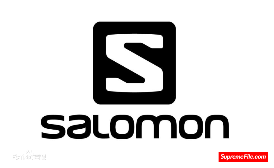 SALOMON  阿尔卑斯山脉中心地带的全球顶级户外运动品牌