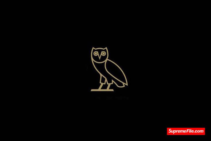 OVO  由Drake主理的“猫头鹰”街头品牌