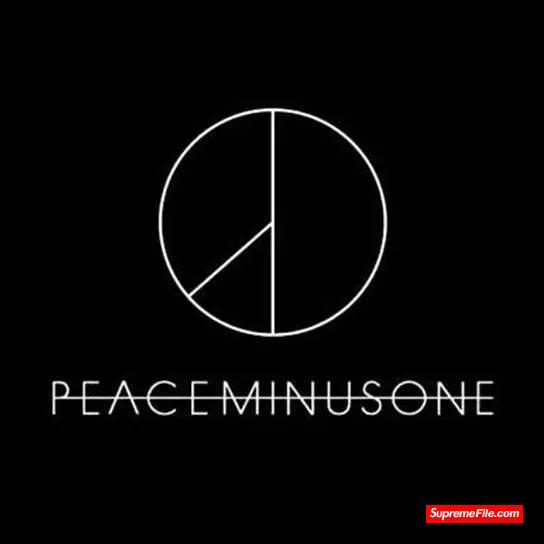 PEACEMINUSONE，G-Dragon 韩国明星权志龙打造的时尚帝国